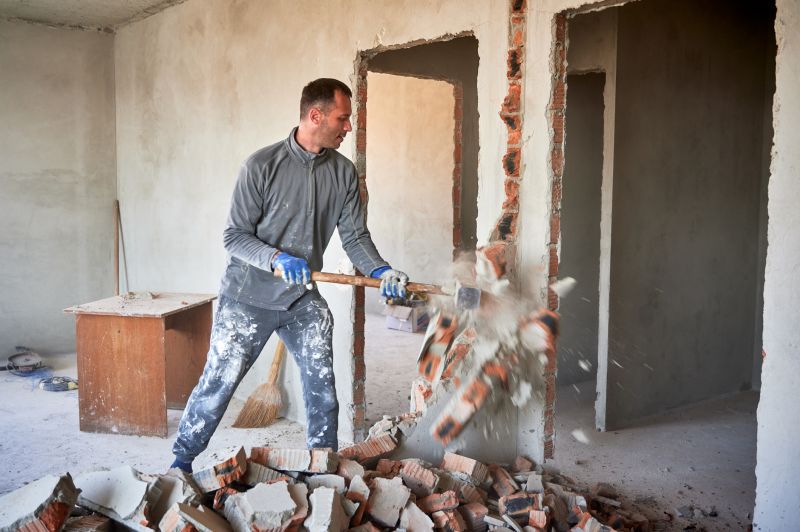 Professional Demolition at Work